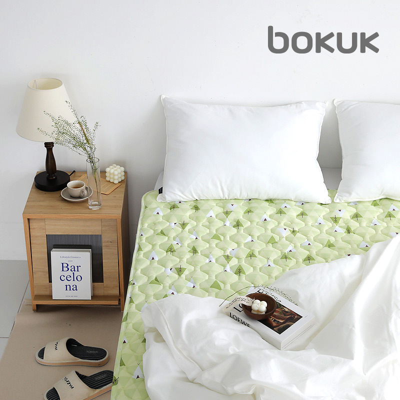 보국 에어셀 전기요 인디언숲 BKB-1627 세탁기 세탁 전기매트 더블