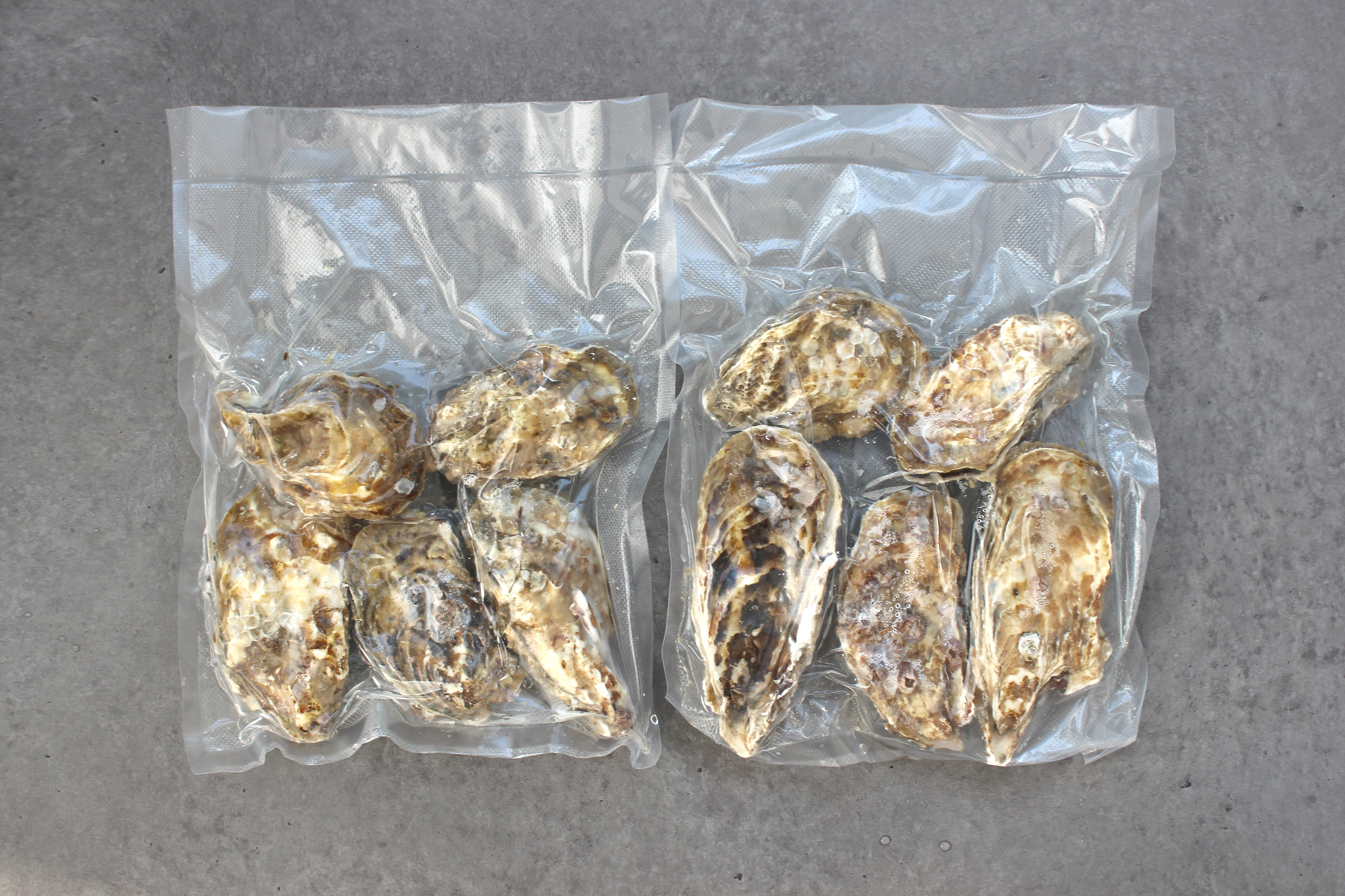 통영 사계절 삼배체굴 통굴/반손질하프셀 1kg 이미지 8