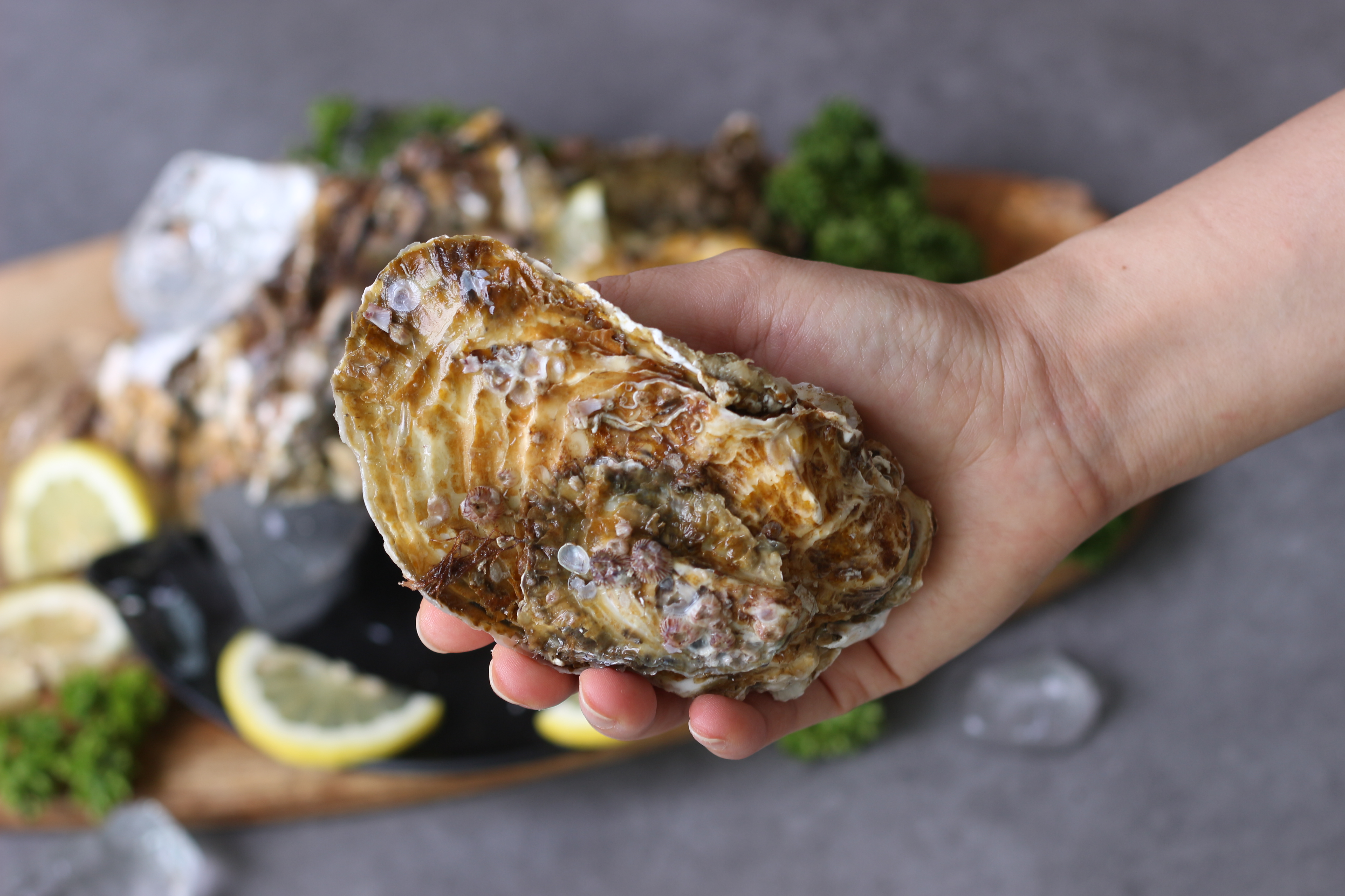 통영 사계절 삼배체굴 통굴/반손질하프셀 1kg - 상세 이미지 2