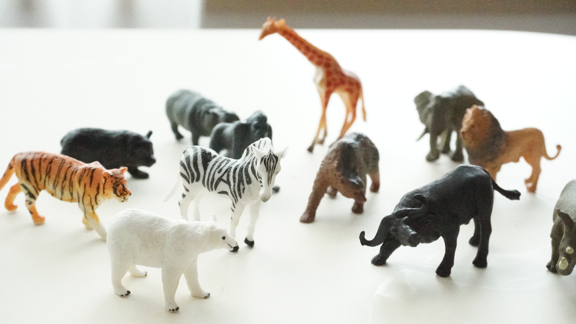 스테이앳홈 스몰월드 야생동물 사파리 피규어 12종 세트 wild animals 이미지 6