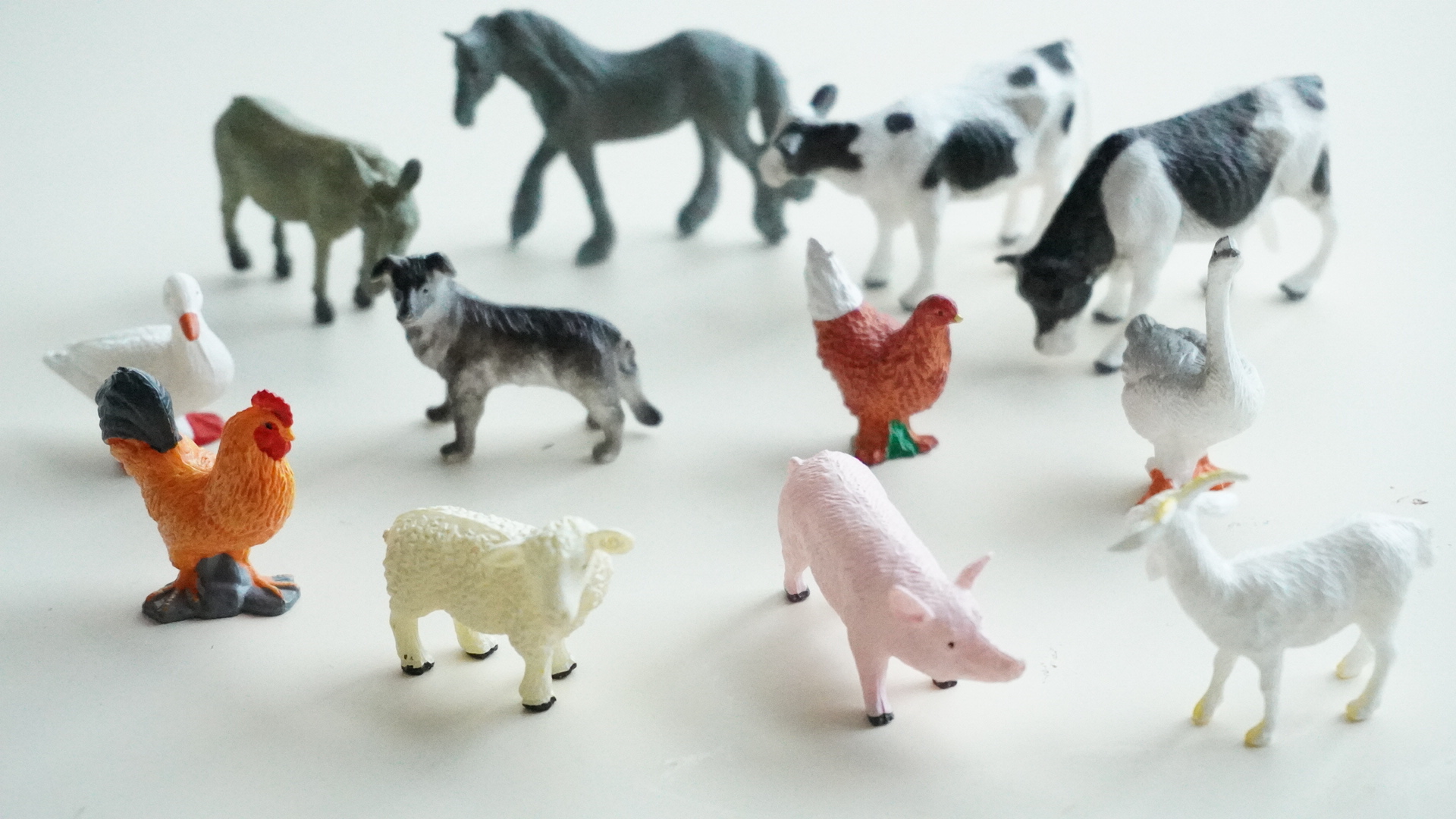 스테이앳홈 스몰월드 농장동물 피규어 12종 세트 farm animals 이미지 6