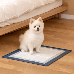 더플래 항균 클린 논슬립 실리콘 강아지 배변매트 패드판 솔직 후기 | 실제 사용자 리뷰 총정리 - 상품 이미지 3