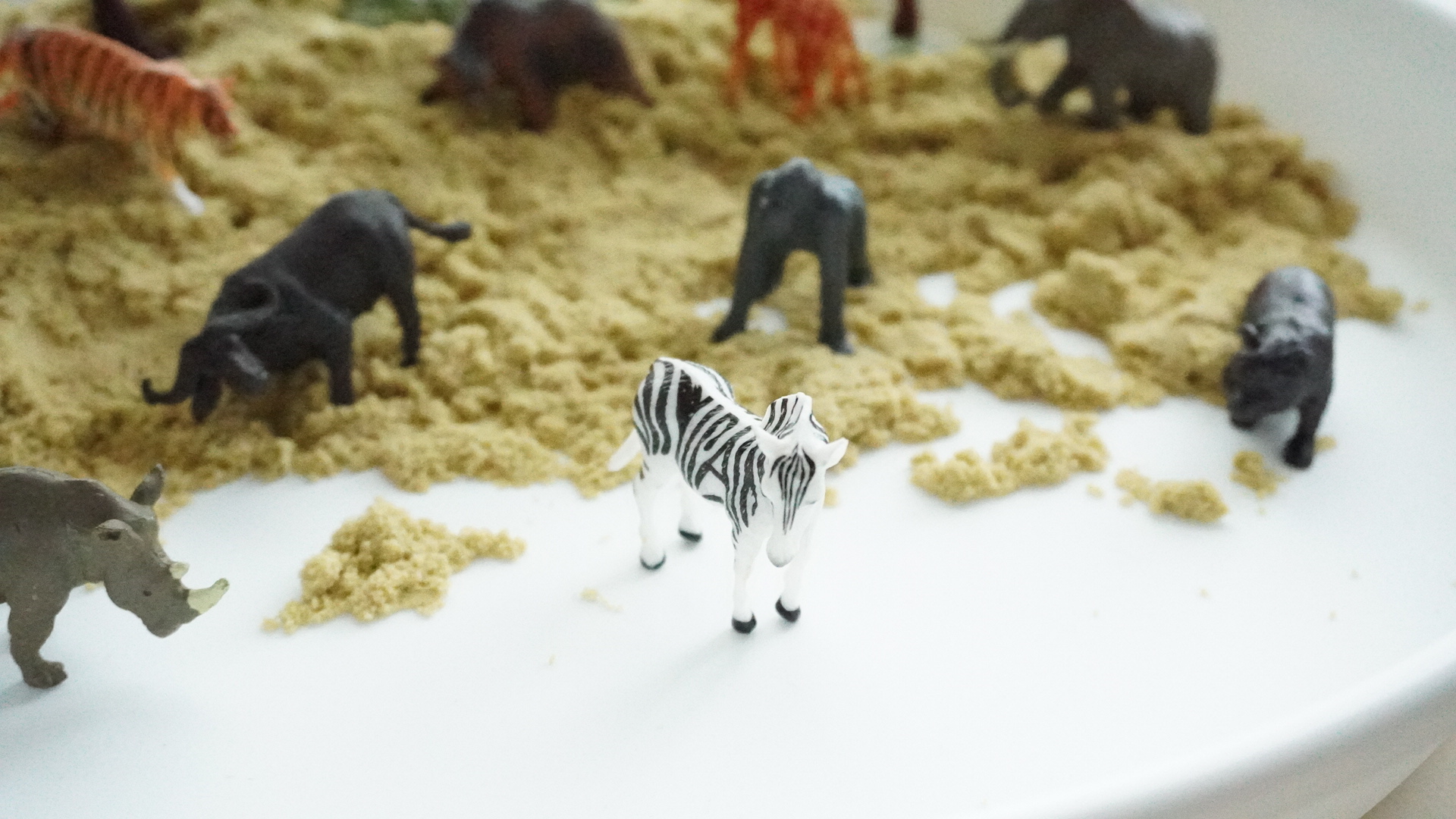 스테이앳홈 스몰월드 야생동물 사파리 피규어 12종 세트 wild animals - 상세 이미지 5