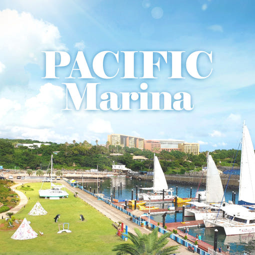 3. 제주 퍼시픽 마..