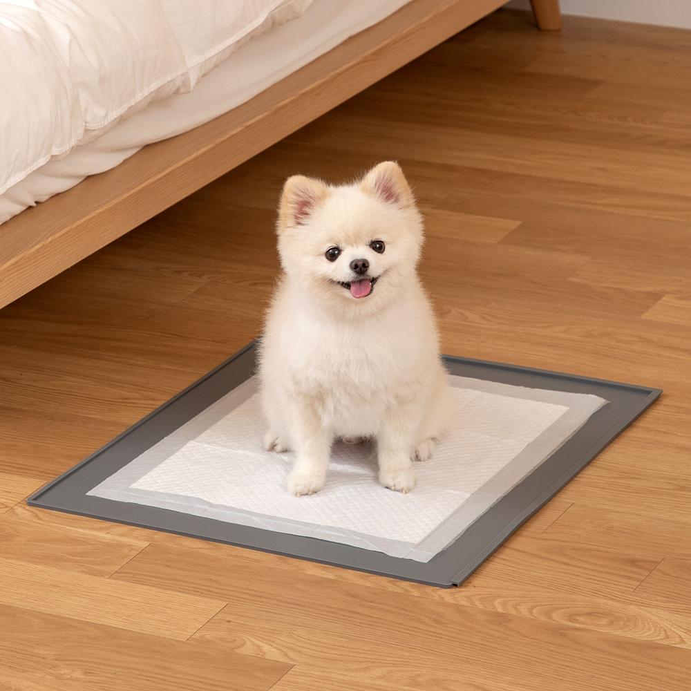더플래 항균 클린 논슬립 실리콘 강아지 배변매트 패드판