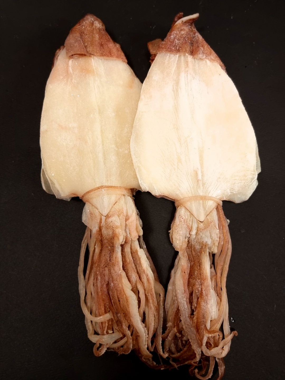 (마른총각) AAA등급 반건조 한치 특사이즈 (20미 - 40미) 1kg 마른안주 - 상세 이미지 5