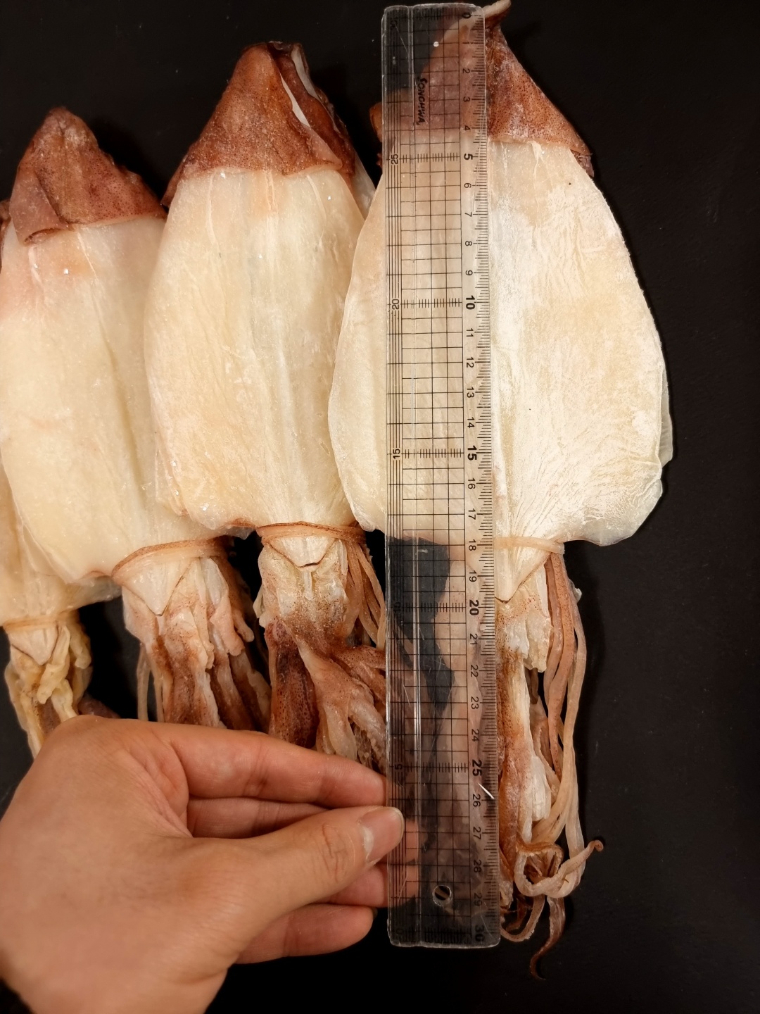 (마른총각) AAA등급 반건조 한치 특사이즈 (20미 - 40미) 1kg 마른안주 - 상세 이미지 3