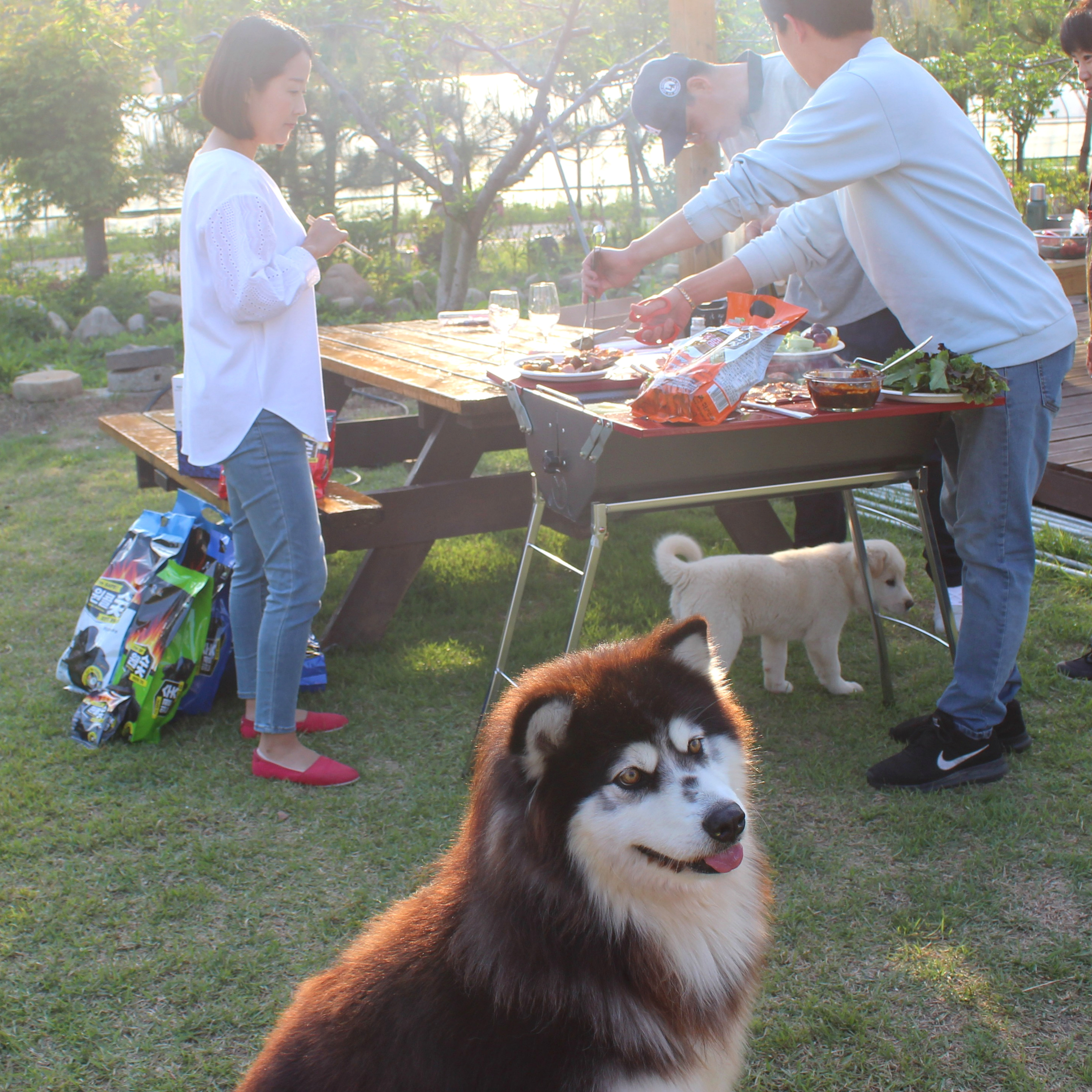 원콜숯 야자숯 1.2kg 친환경 바베큐 숯 숯불 캠핑숯 불멍 준비물 - 상세 이미지 5