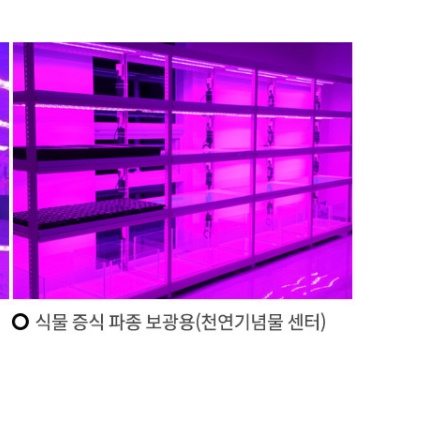 12W 식물 생장 등 식물 재배 등 식물용 LED 바 성장 조명 전구 수경 화분 농업용 - 상세 이미지 4