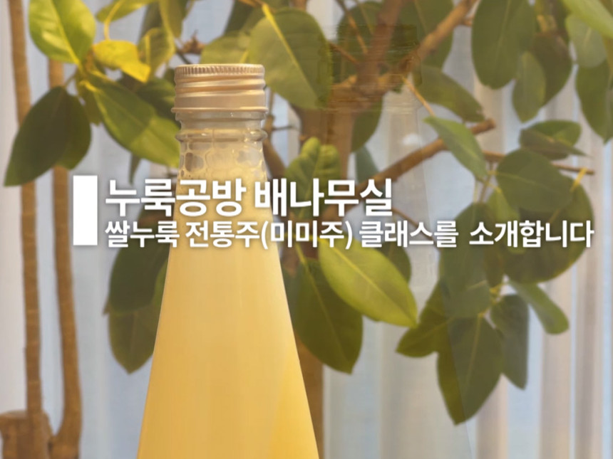 미미주 이미지