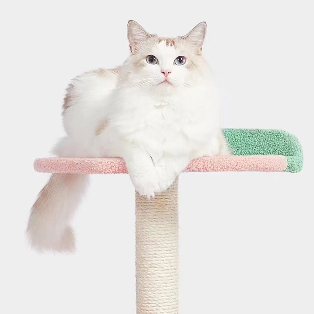 후르츠 소형캣타워 미니캣타워 먼치킨 스텝 선반