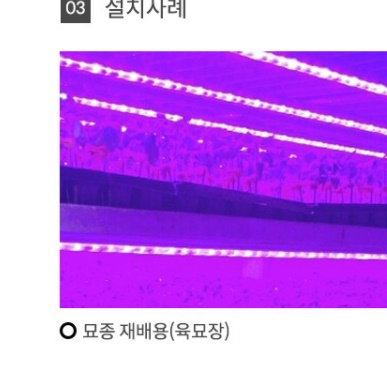 12W 식물 생장 등 식물 재배 등 식물용 LED 바 성장 조명 전구 수경 화분 농업용 - 상세 이미지 5