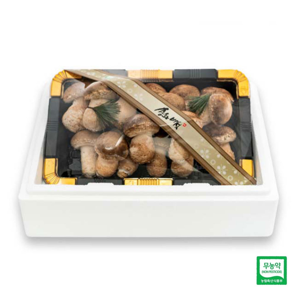 젊은농부 무농약 송화버섯 1KG 고급형 프리미엄 명절 설 추석 선물세트 송고 송화고 버섯 - 상세 이미지 2