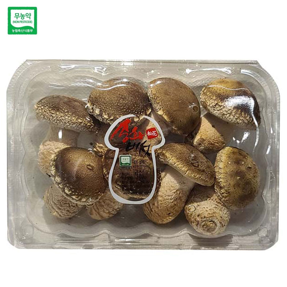 젊은농부 무농약 송화버섯 250g 고급형 국산 송고 송화고 표고 송이 버섯 - 상세 이미지 2