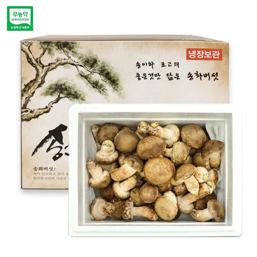 젊은농부 무농약 송화버섯 1kg 일반형 명절 설 추석 선물세트 송고 송화고 표고 송이버섯 - 상품 이미지