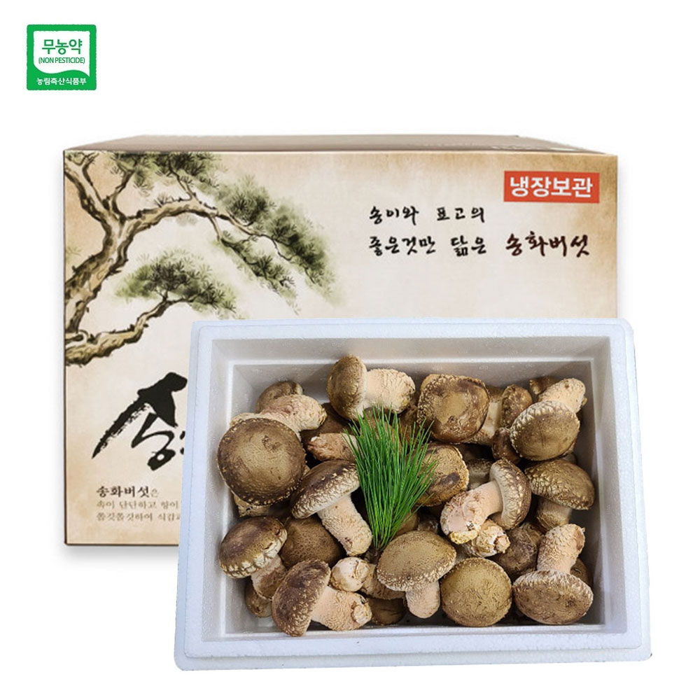 젊은농부 무농약 송화버섯 1kg 고급형 명절 설 추석 선물세트 송고 송화고 표고 송이버섯 - 상품 이미지