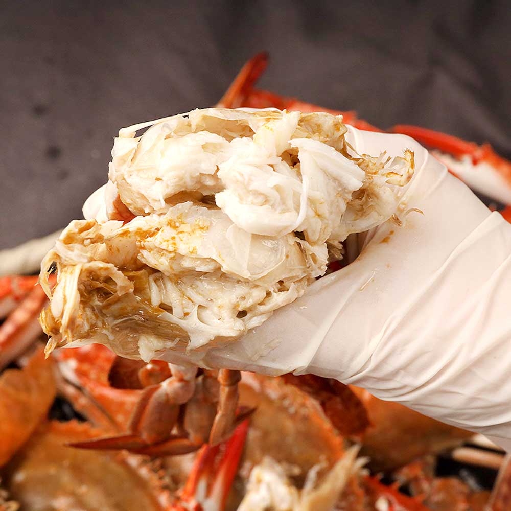 꽃게 꽃게 제철 꽃게 1kg 선택법 활 꽃게 꽃게 구별법