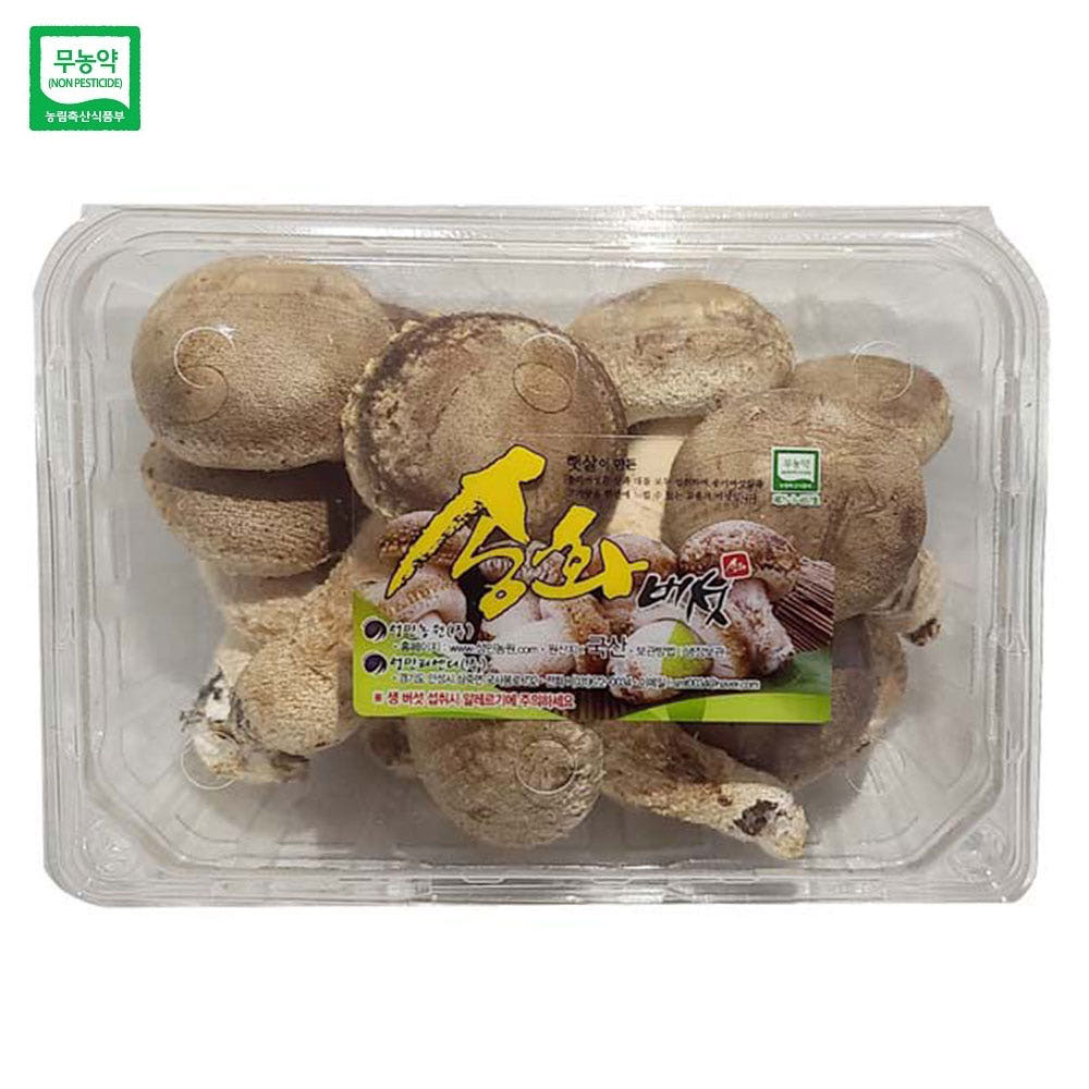송화버섯과 일반 표고버섯, 송이버섯 비교 이미지
