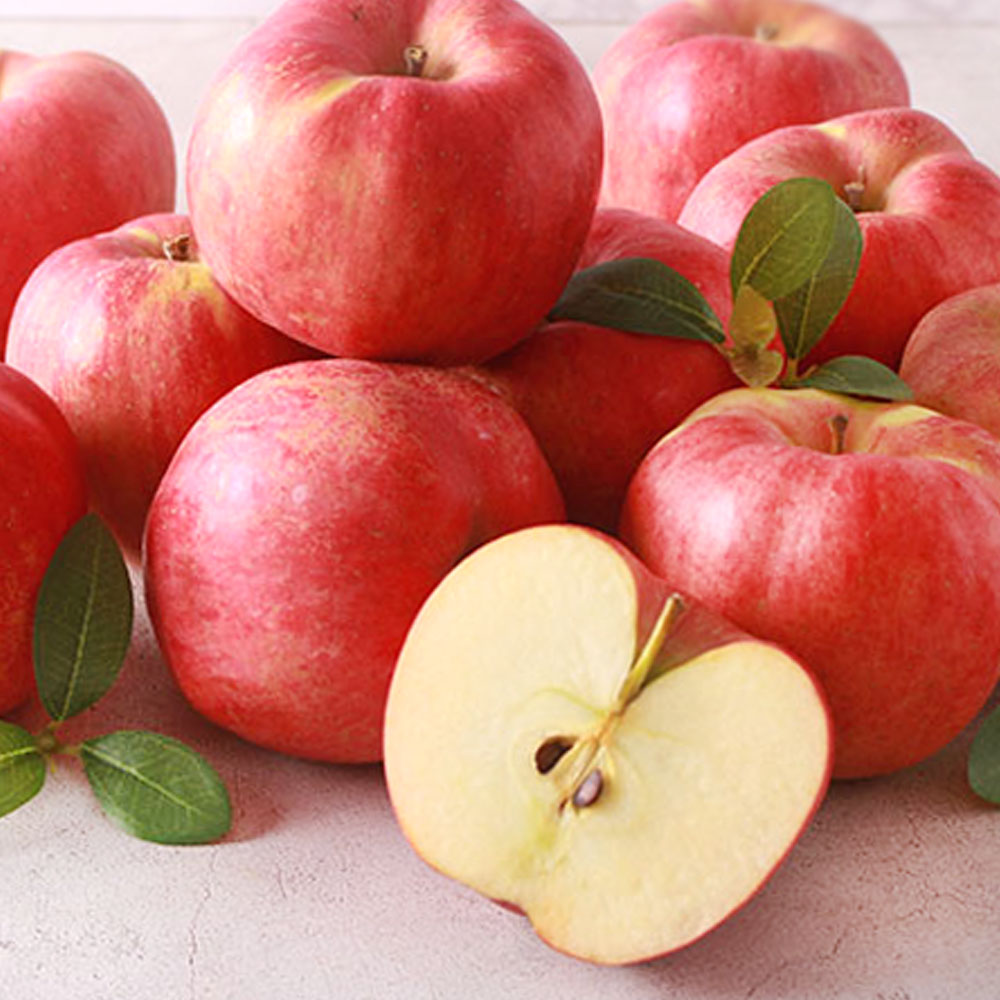 추석과일선물세트 25년 청송 햇 부사사과 4kg 대한민국스타농장 셋트