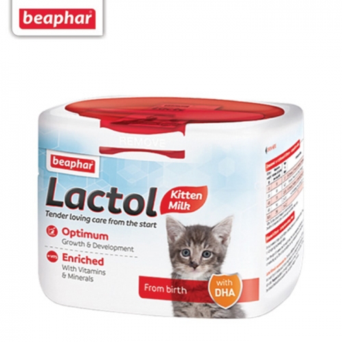 새끼 아기 고양이 밥 분유 비어파 락톨 키튼 250g