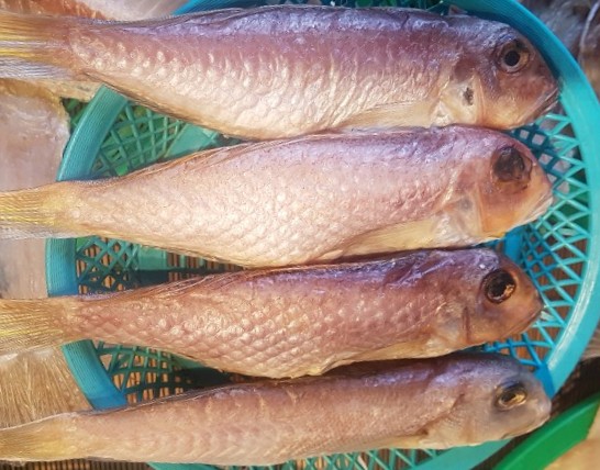 제주 동문시장 수입산옥돔 홍옥돔 10마리 배 가르지 않은 통옥돔 수입생선 수산물 택배 옥돔 선물세트 - 메인 이미지