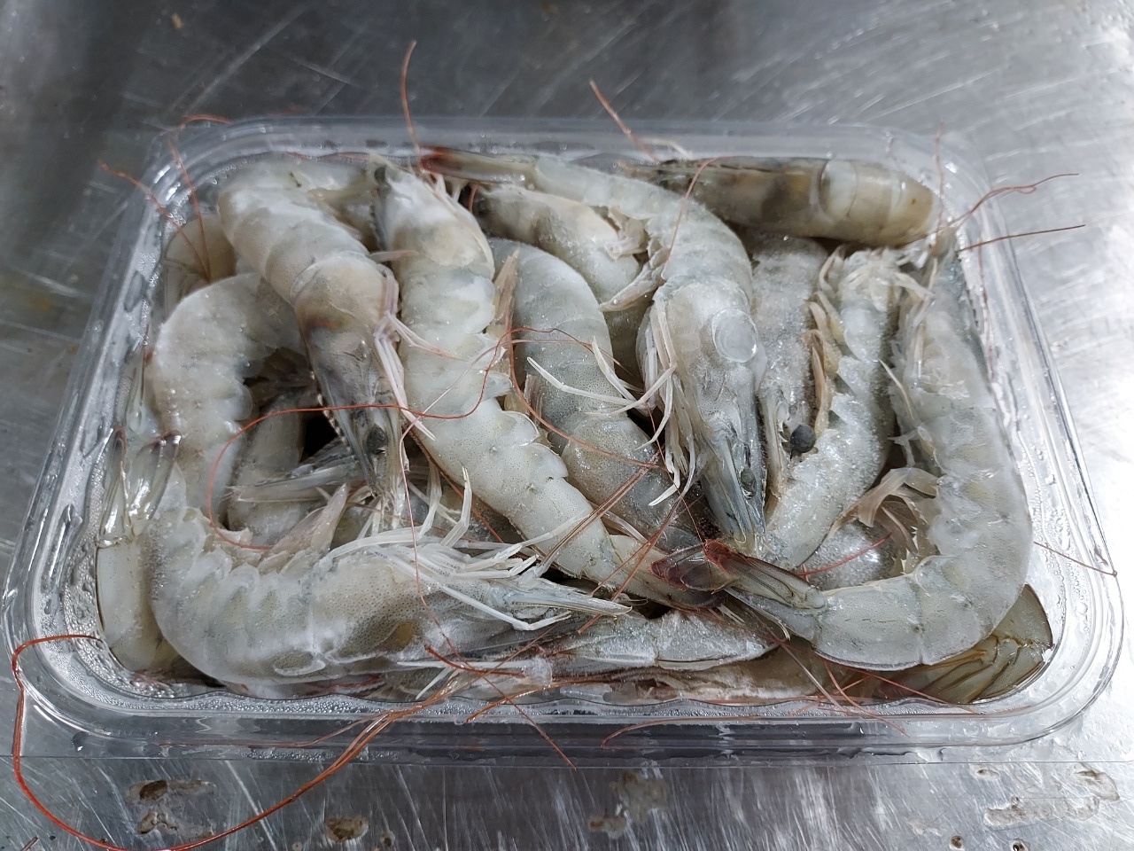 왕새우 흰다리새우 1kg 대하 새우튀김 해물탕