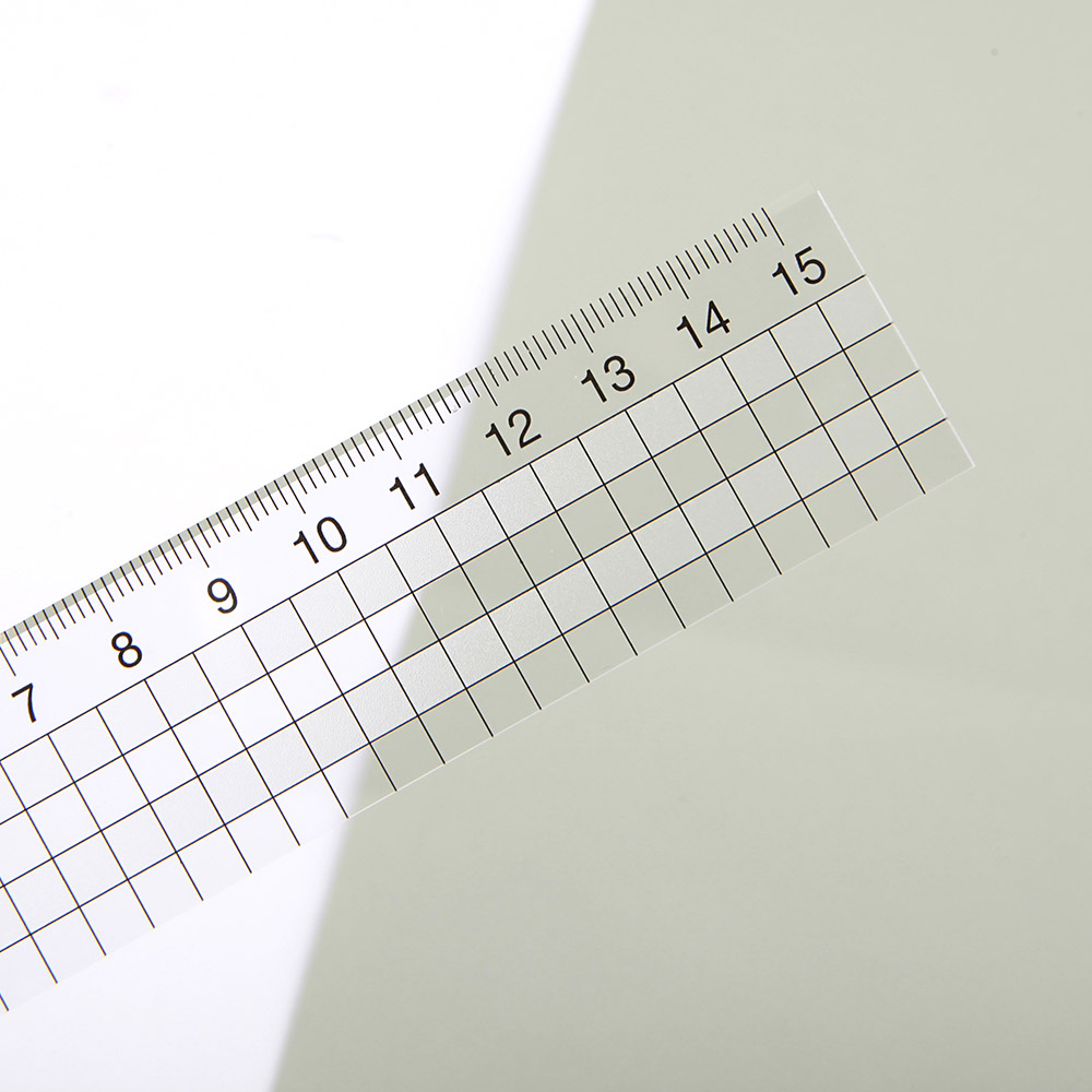 주문제작 네임 투명자 15cm 앤과폴 친구01 한글1 이미지 4