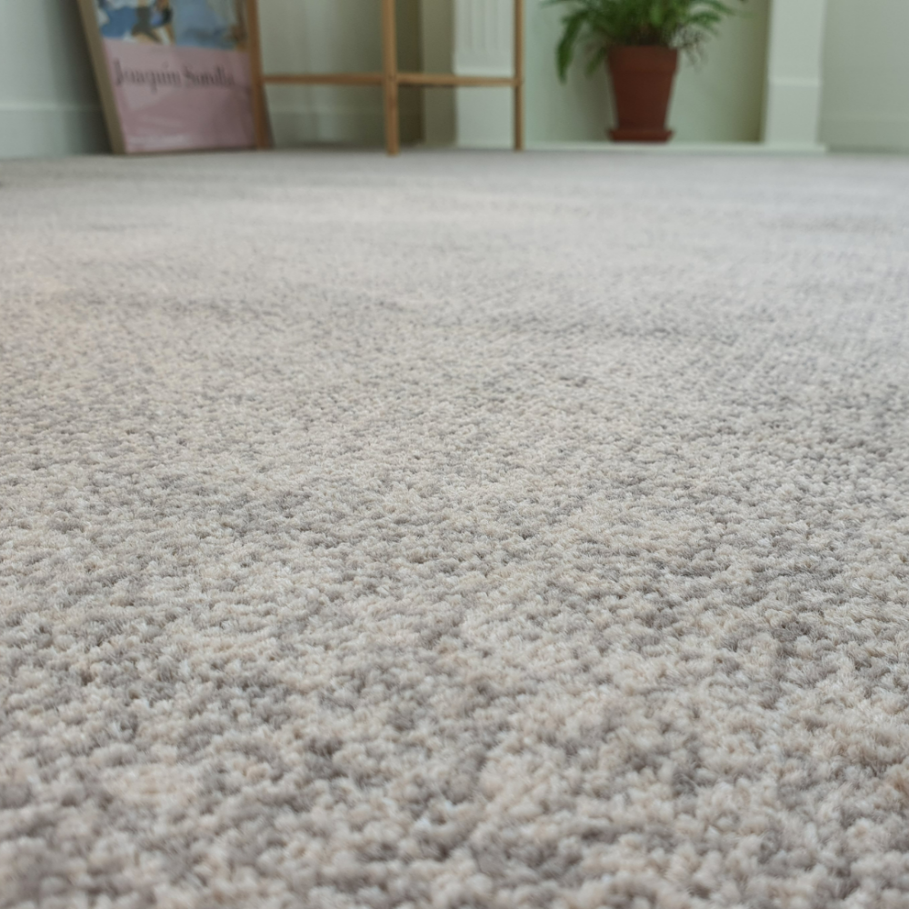 벨기에 직수입 고밀도 친환경 카페트 먼지없는 사계절용 무지 거실 서재 아이방 러그