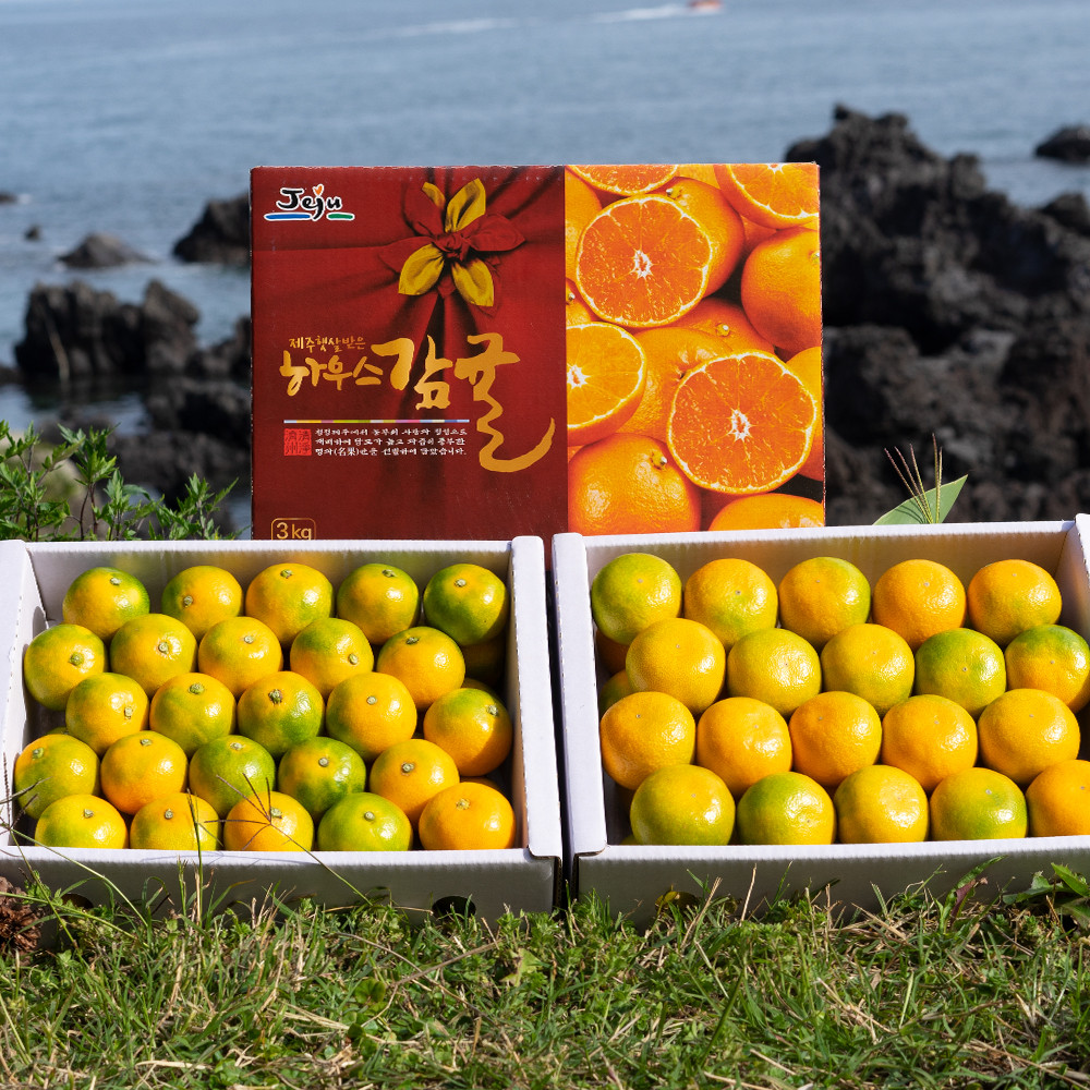 [농할20%] 국내산 제주 하우스귤 3kg 5kg