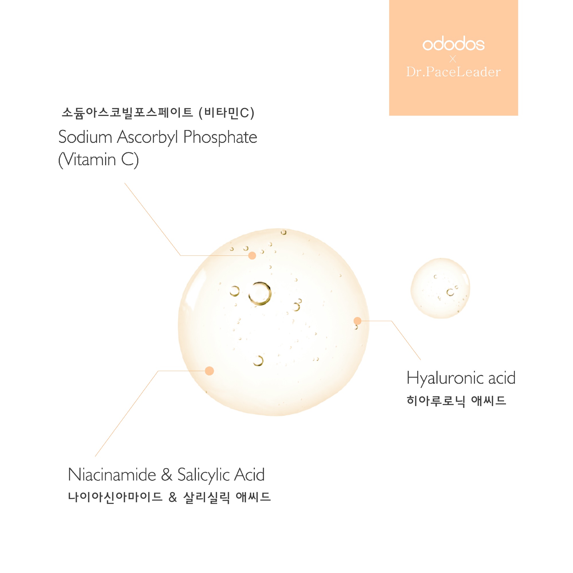 비타민 C 데이세럼 50ml 이미지 6