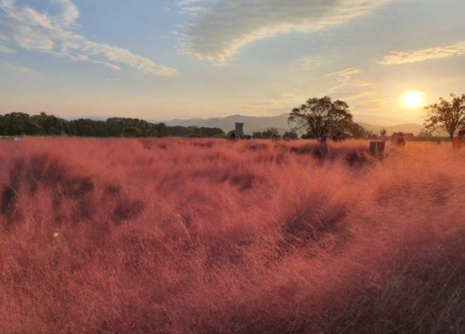 경주버스투어 뚜벅이 시티패스 일일패키지 원데이 당일치기 국내기차여행 커플 야경 가이드투어