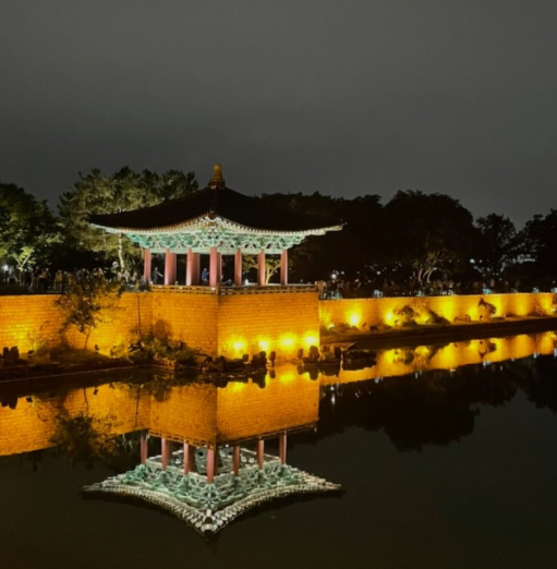 경주버스투어 뚜벅이 시티패스 일일패키지 원데이 당일치기 국내기차여행 커플 야경 가이드투어