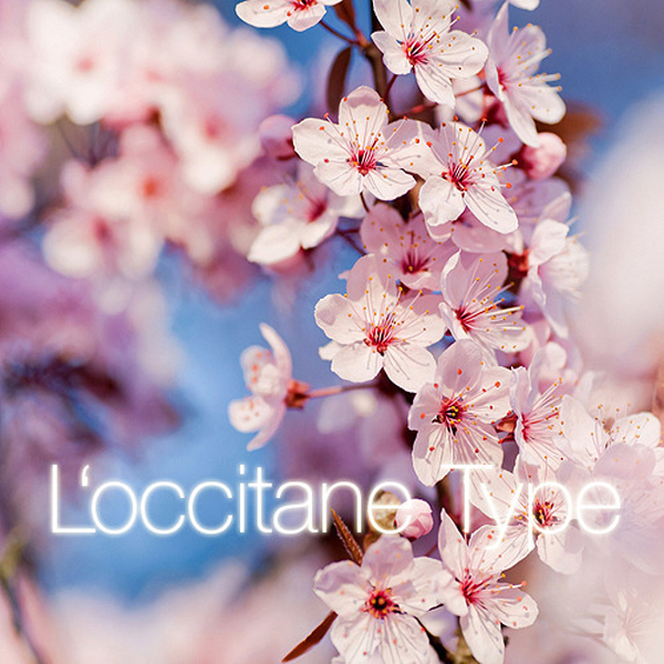 CPL 아로마 체리 블라썸 프래그런스 오일 Loccitane Type 50ml - 상품 이미지