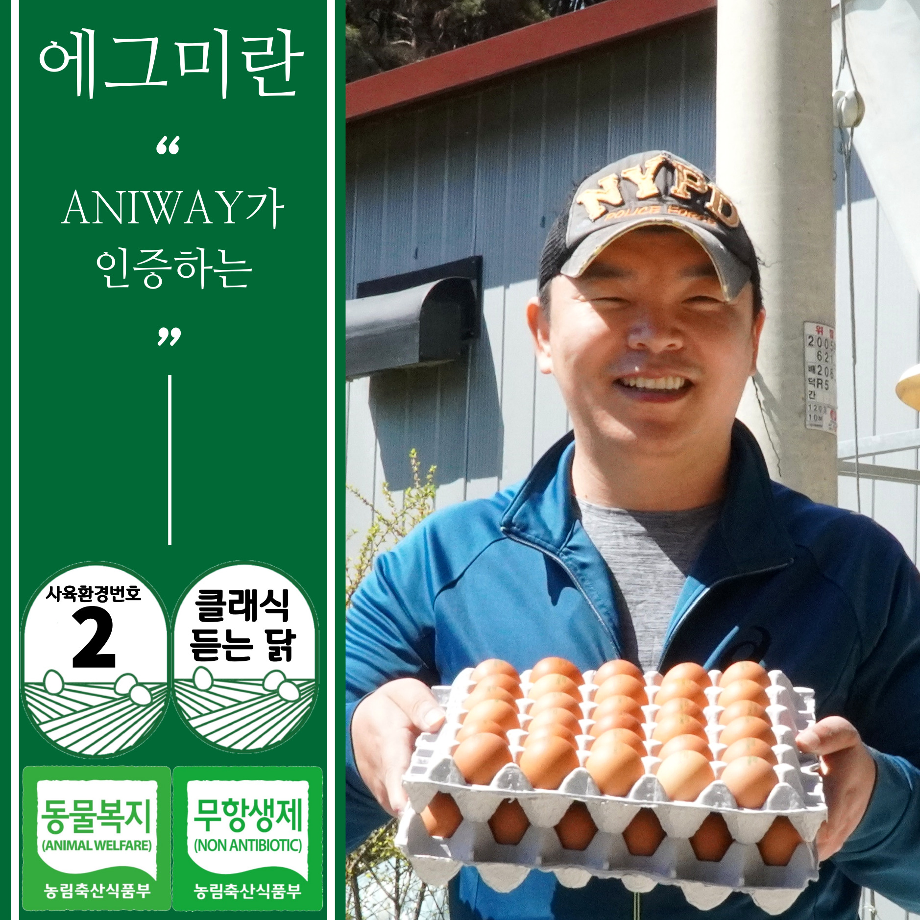 와라농장 클래식을 듣는 닭이 낳은 동물복지 유정란 40구 무항생제 유정란 계란 정기배송