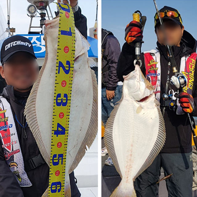 씨호크 어택블랙 플러스 180ML/HB