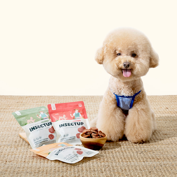 인섹트업 노블프로틴 3종(1ea/3ea) 강아지 육포 간식 칠면조, 70g, 3개 이미지 8