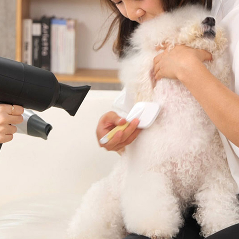 댕댕살롱 페페 드라이어 강아지 고양이 펫 애견 드라이기 건조기 털 말리기