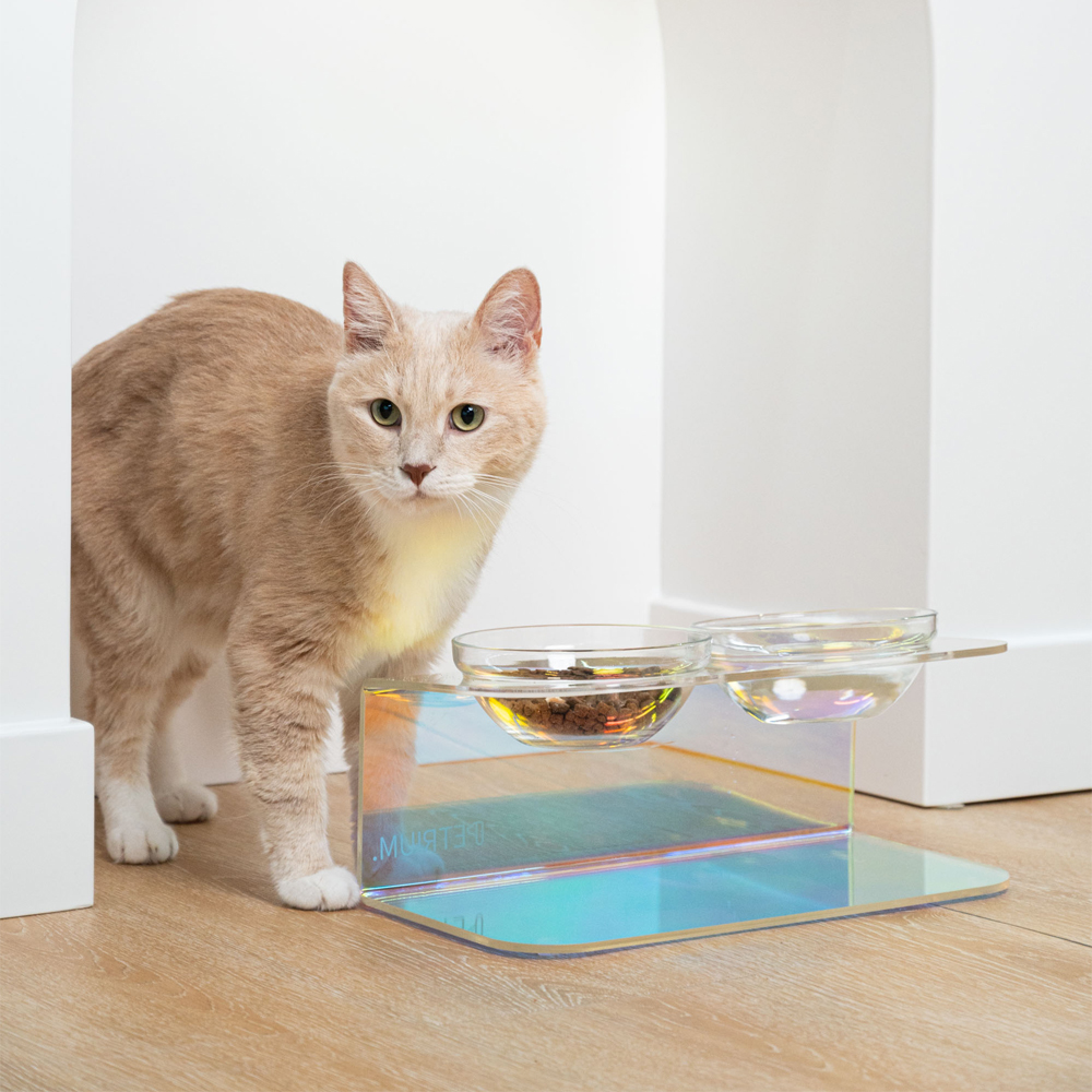 펫트리움 프리즘 아크릴 펫테이블 2구 애견 고양이 식기 홀로그램