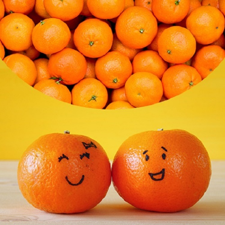상품 이미지 7