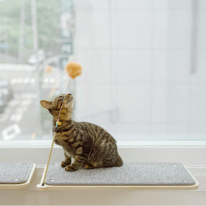 캣돌 냥틀 소형 카펫미포함 고양이 창문 선반 창틀 해먹 윈도우 캣타워 솔직 후기 | 실제 사용자 리뷰 총정리 - 상품 이미지 3