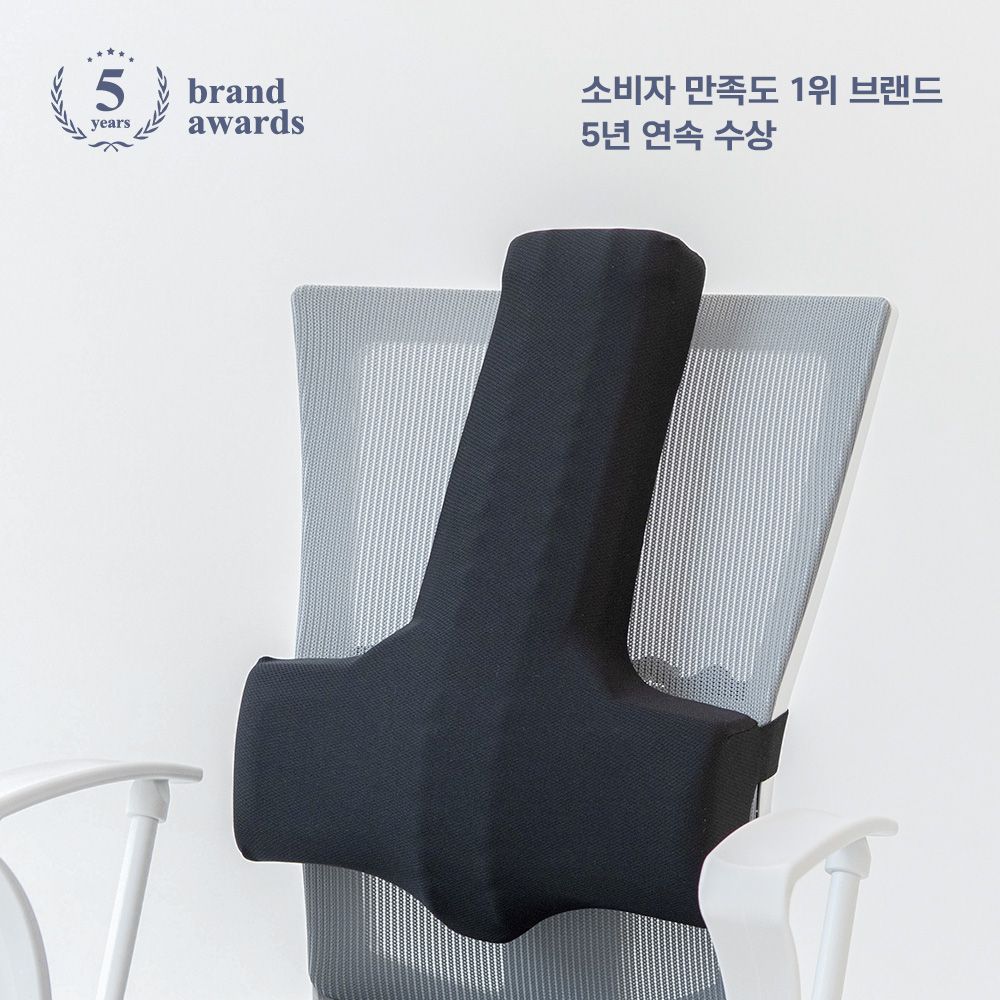 발란스코드 카이로프랙틱쿠션 의자 허리쿠션 등받이 허리받침 척추 쿠션