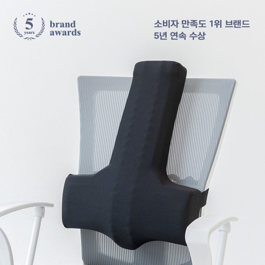 발란스코드 카이로프랙틱쿠션 의자 허리쿠션 등받이 허리받침 척추 쿠션 사진 3