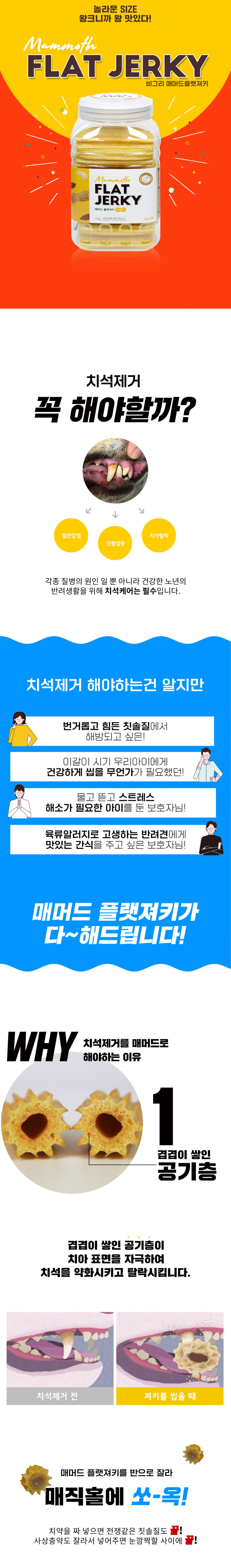 비그리 매머드 플랫져키 피넛버터 강아지 대형견간식 양치 치석제거껌 700g, 5개 판매처 상세 정보 이미지 2