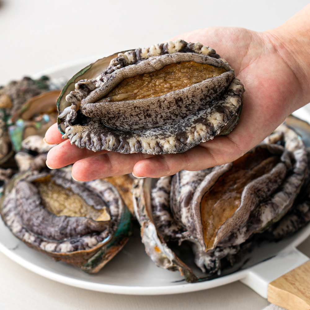 집에서먹자 산지직송 전남 완도 전복 소 51미-60미 1kg