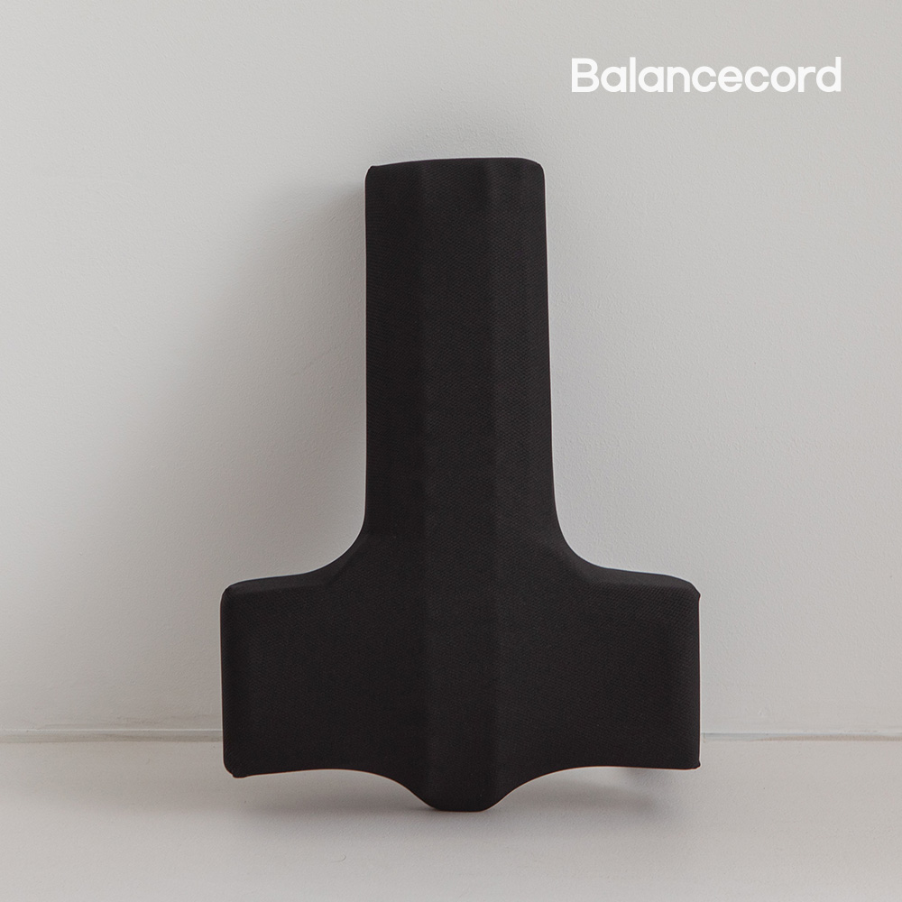 발란스코드 카이로프랙틱쿠션 의자 허리쿠션 등받이 허리받침 척추 쿠션
