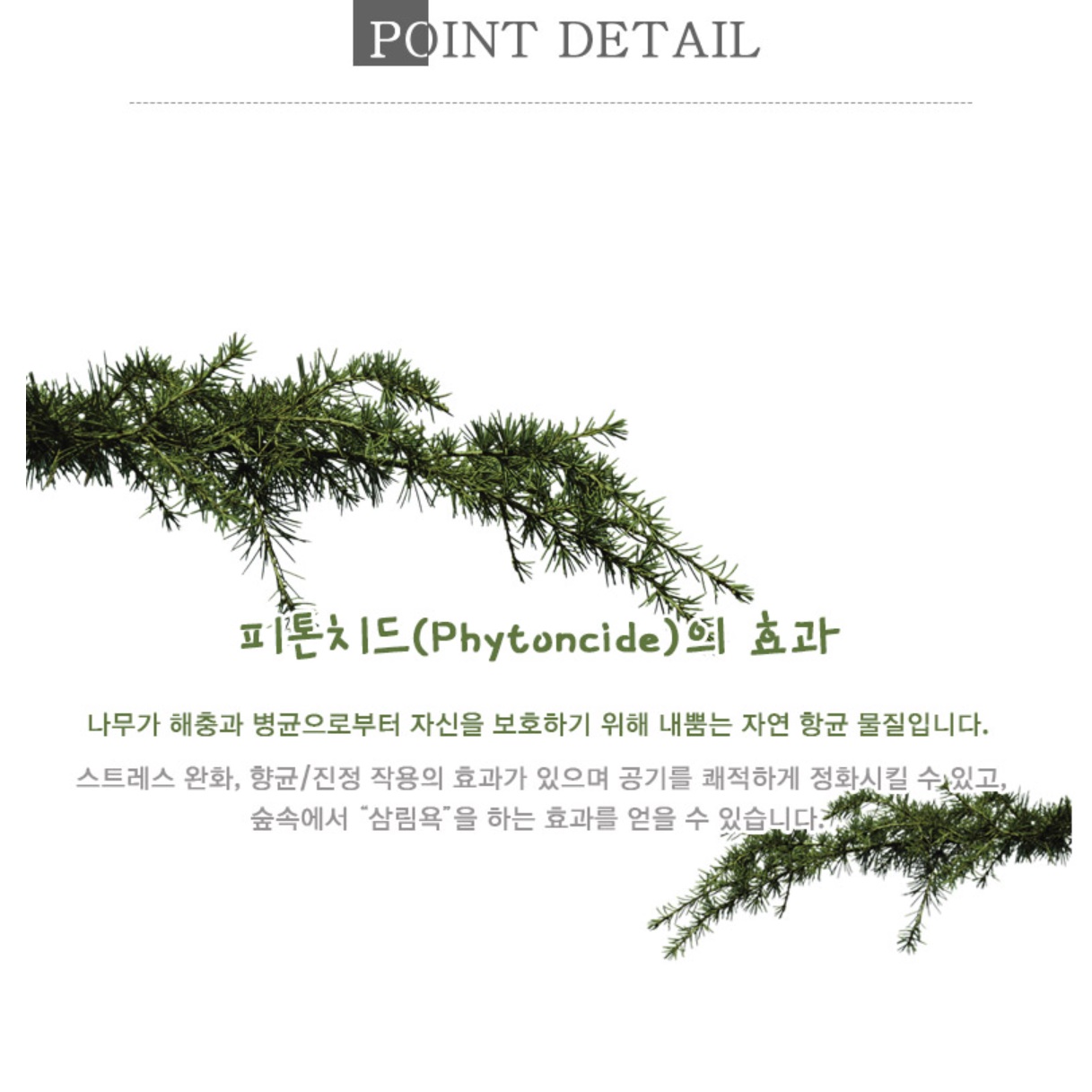 낮은 침대 파레트 접이식 침대 프레임 헤드없는 원목 저상형 침대 깔판 저상 침대용 퀸 Q 이미지 6