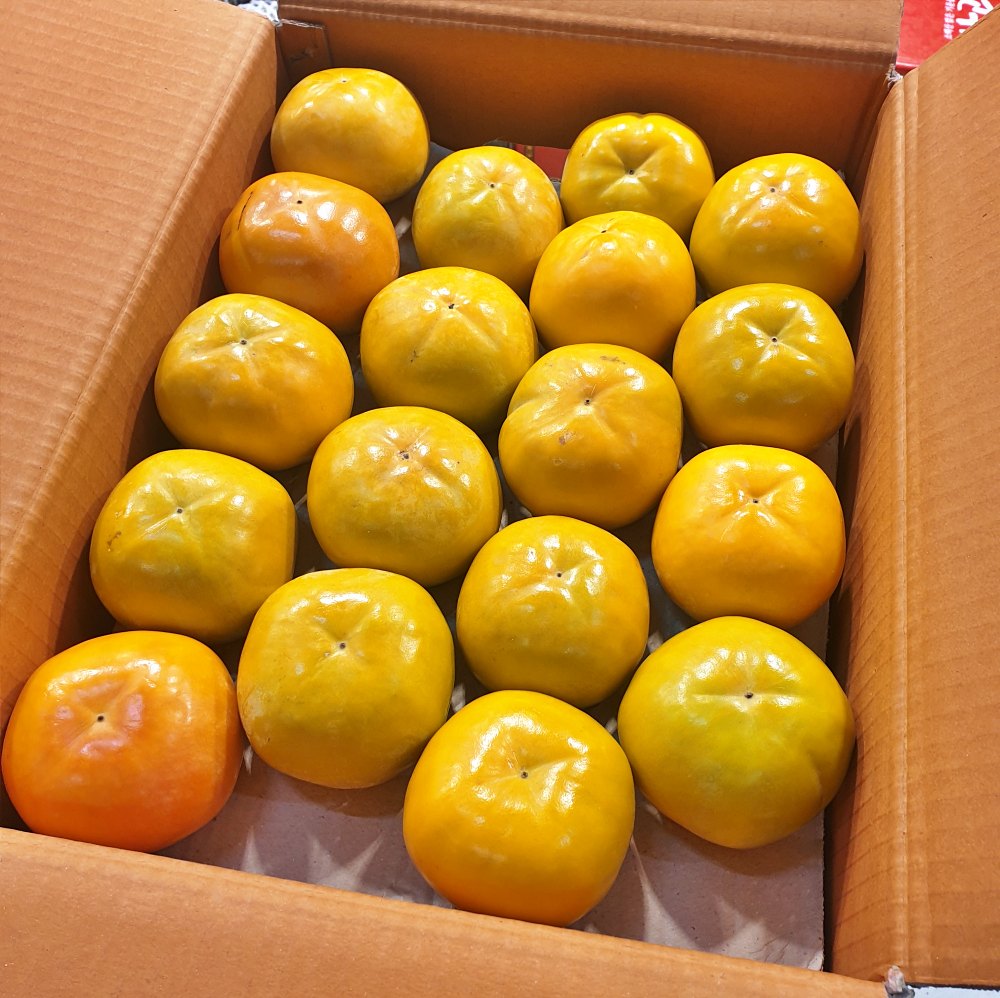 송본 차량 부유 창원단감 5kg 10kg 소과 중소과 중과 중대과 대과 - 상세 이미지 2