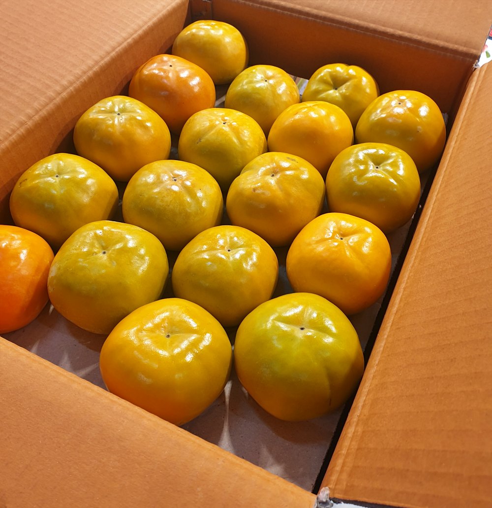 송본 차량 부유 창원단감 5kg 10kg 소과 중소과 중과 중대과 대과 - 상품 이미지