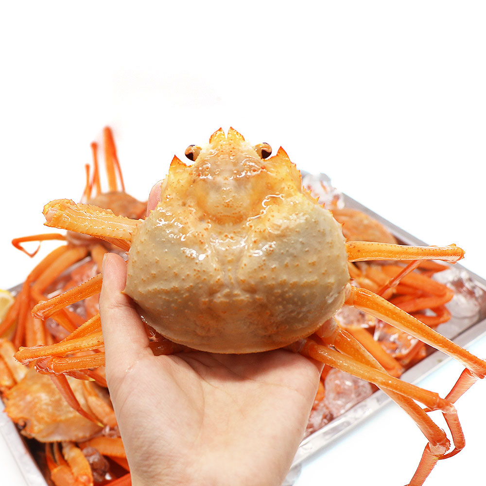 홍게(6-8마리) 2kg 활 홍게, 홍게 찜, 자숙 - 상세 이미지 2