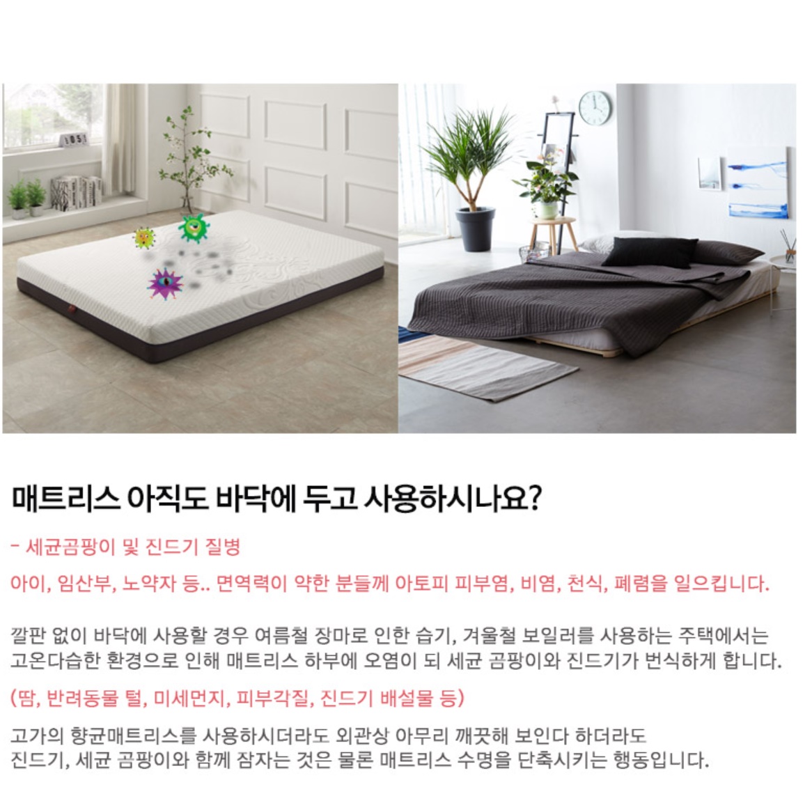 낮은 침대 파레트 접이식 침대 프레임 헤드없는 원목 저상형 침대 깔판 저상 침대용 퀸 Q - 상세 이미지 4